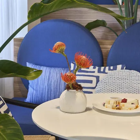Barceló Cruz Contemporáneo Hotel